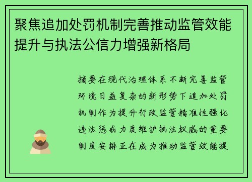 聚焦追加处罚机制完善推动监管效能提升与执法公信力增强新格局